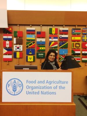 FAO - Rome HQ High-Level Meeting on RPW 29-31 March, 2017