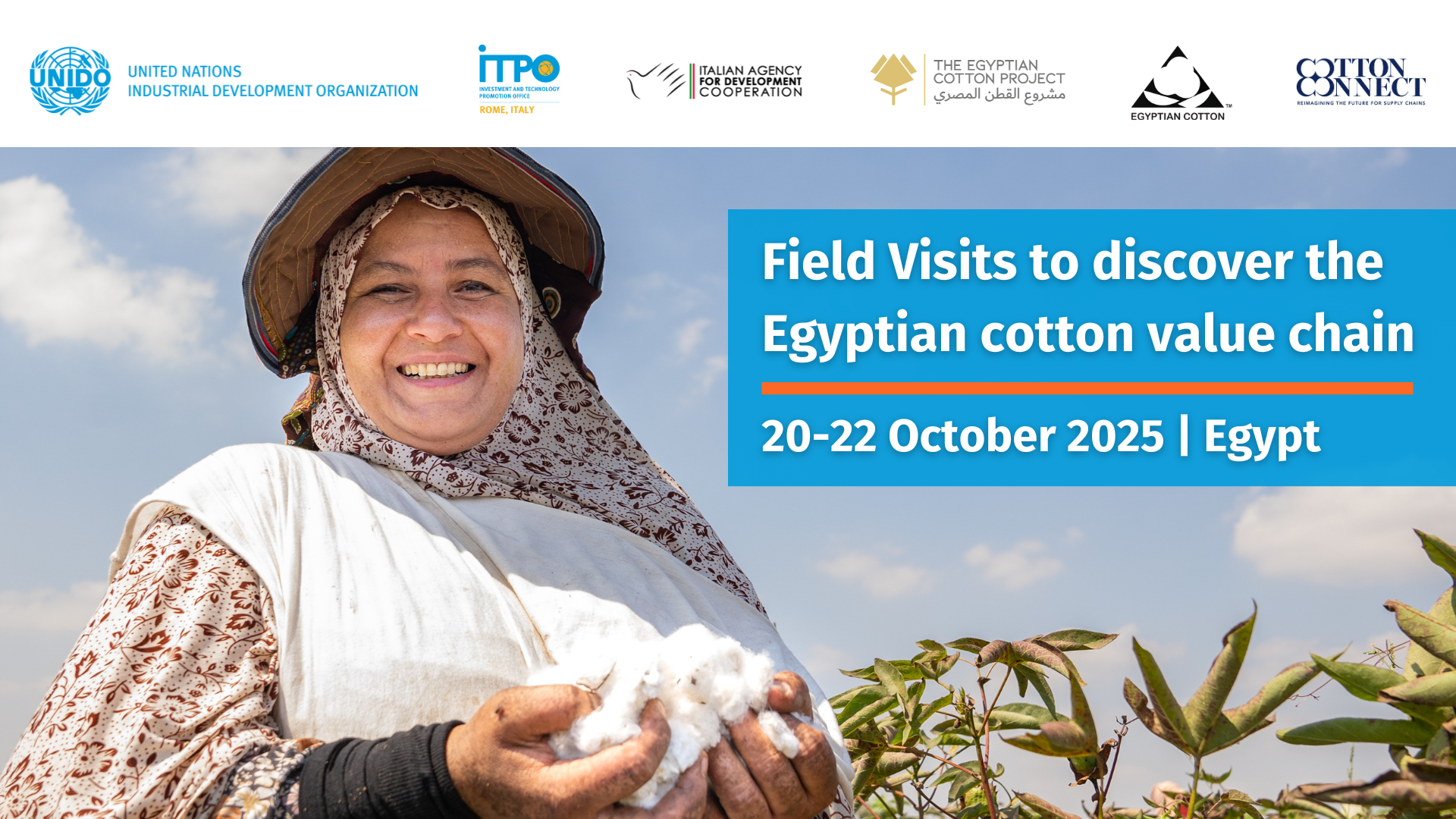 Field Visits to discover the Egyptian cotton value chain