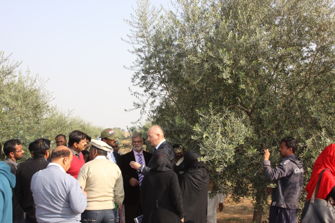 Esperti italiani svolgono corsi di formazione nel settore della produzione di olive in Pakistan